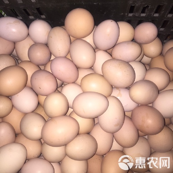 水產(chǎn)品四大家魚與家禽家畜批發(fā)行情解析