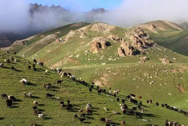 山地之國——吉爾吉斯斯坦 畜牧業(yè)與家禽家畜文化