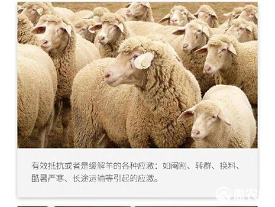 復(fù)合型多維家禽家畜通用飼料的應(yīng)用與優(yōu)勢